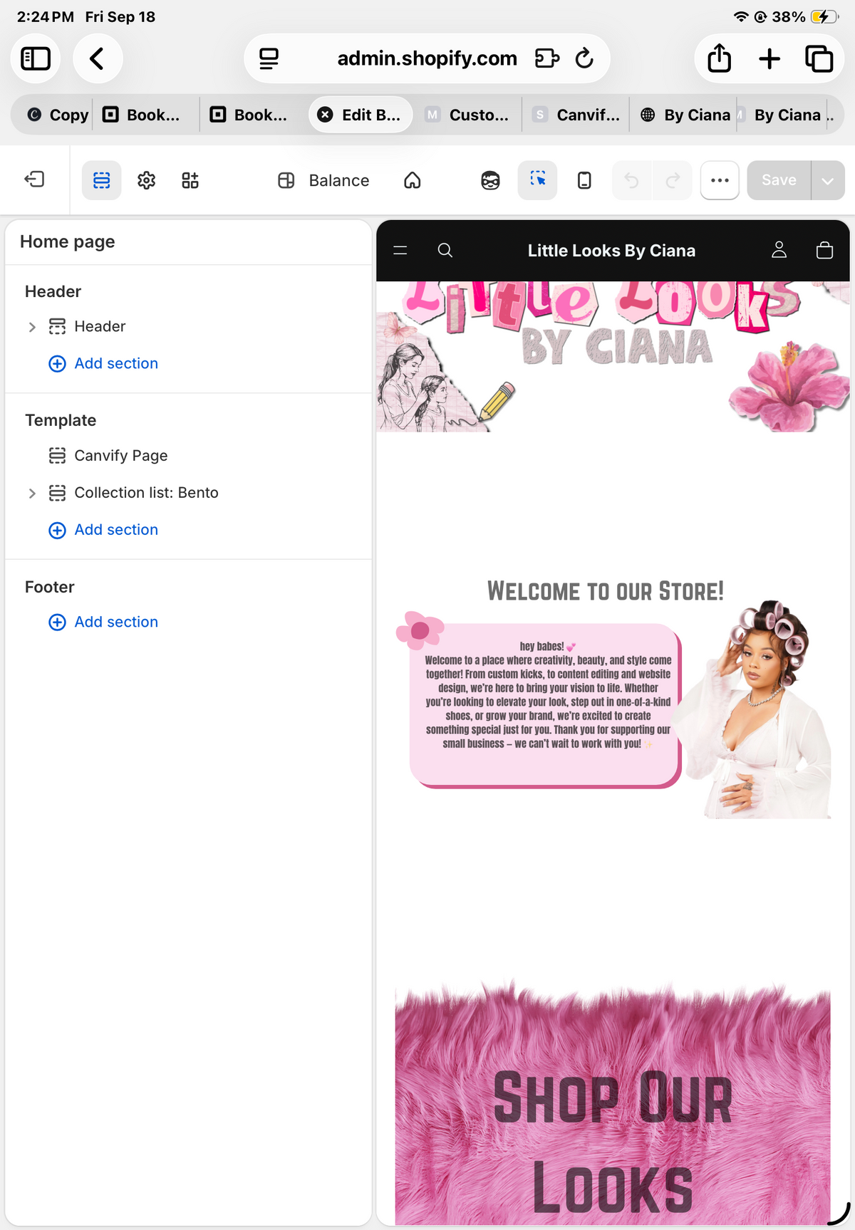 Premium Website Setup